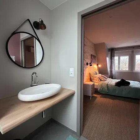 Maison D Hotes Spa Pivoine Et Colibri Domfessel Exterior photo